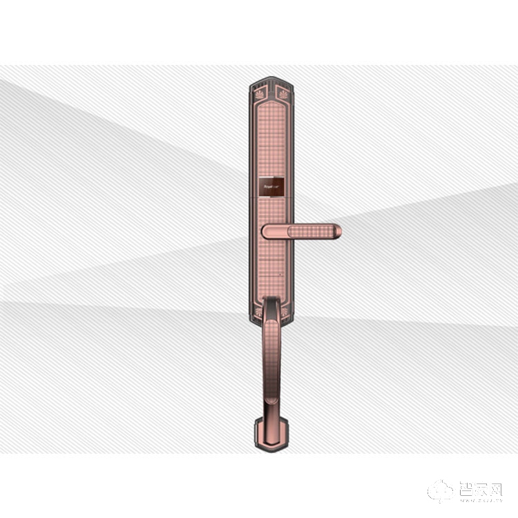 别墅滑盖智能门锁 优质锌合金 荣事达智能锁RSD-919