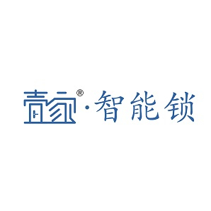 深圳壹家智能锁有限公司