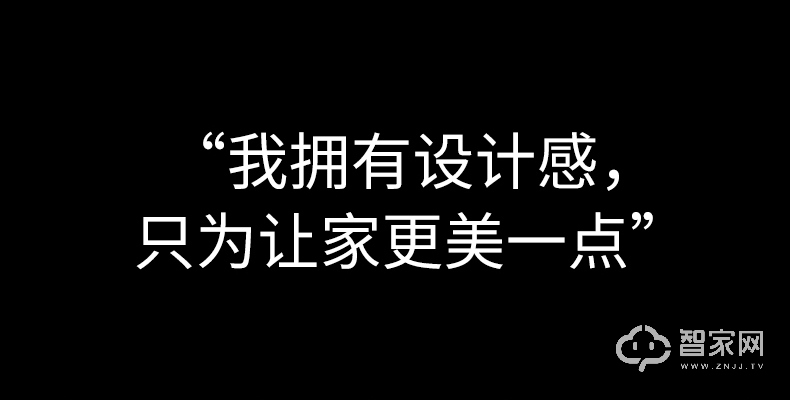 德施曼指纹锁T11 家用防盗门密码锁 智能锁电子门锁