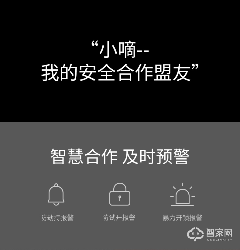 德施曼指纹锁T11 家用防盗门密码锁 智能锁电子门锁