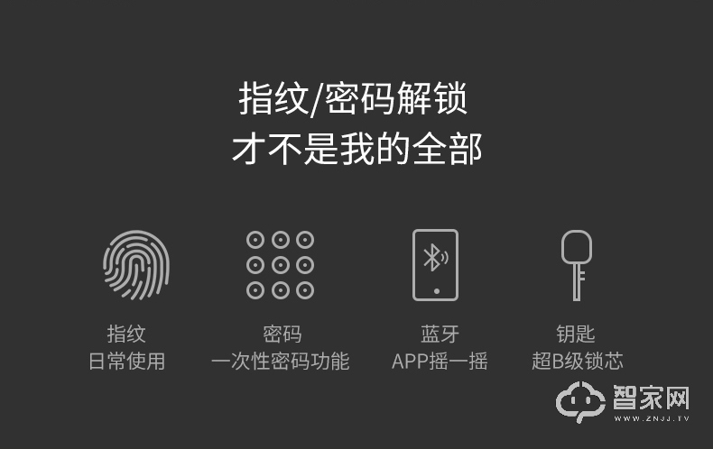 德施曼指纹锁T11 家用防盗门密码锁 智能锁电子门锁