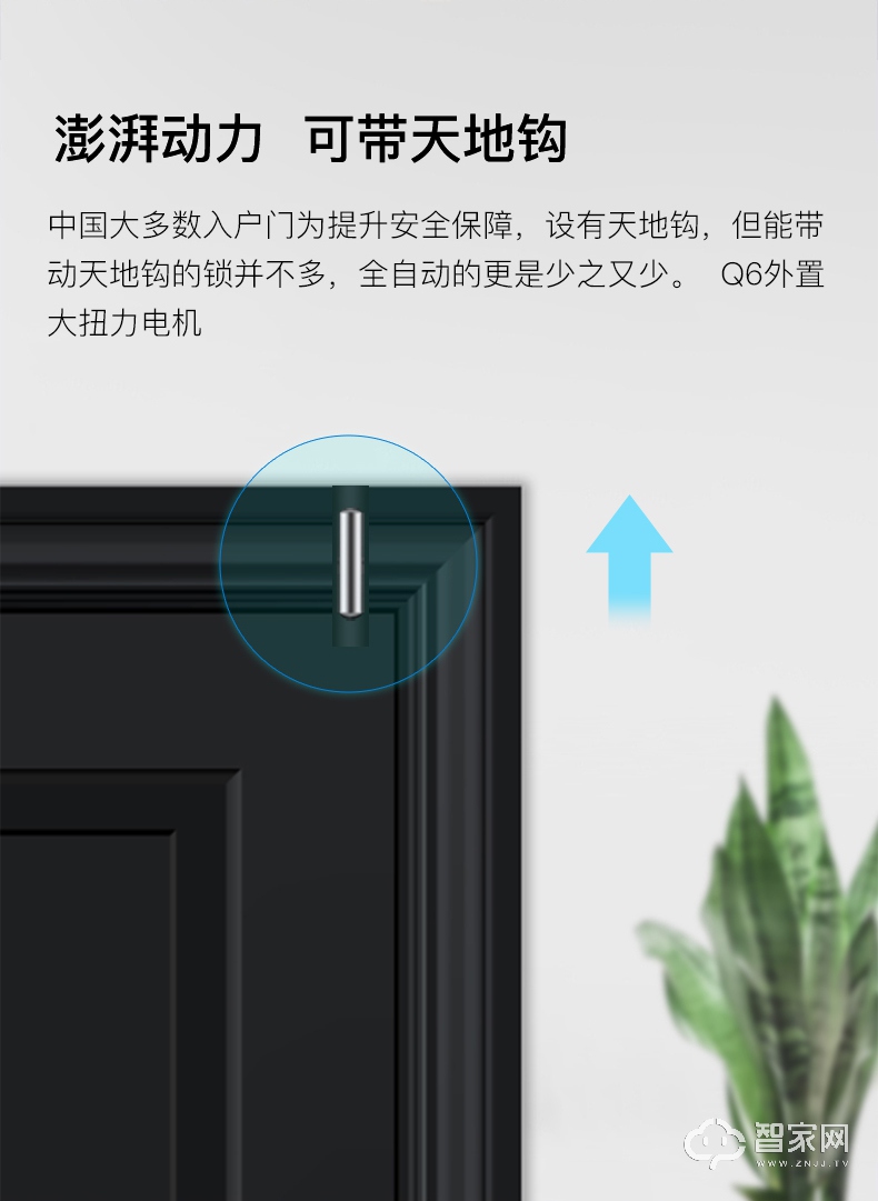 德施曼Q6智能电子门锁 盗门密码锁