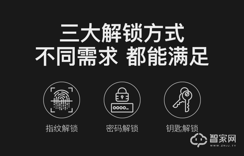 德施曼智能锁 全自动指纹锁Q3H