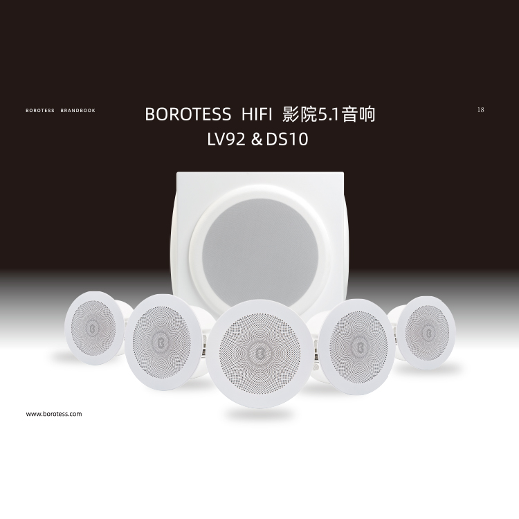 美国博特音响博特BOROTESS HIFI影院5.1音响LV92&DS10